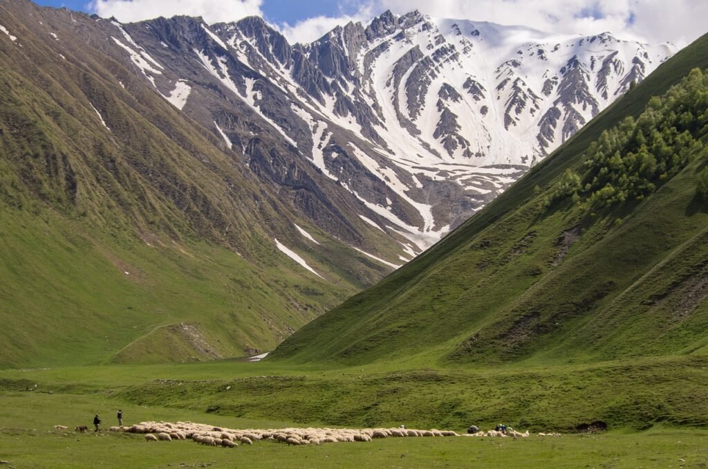 Caucasus, Georgia